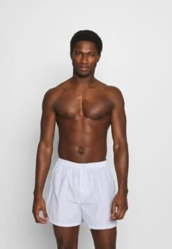 Pier One 5 Pack - Boxer - Light Blue/White 10 Pier One 5 Pack - Boxer - Light Blue/White -Pier One 139342f1516744e4937742c5f01eeccb