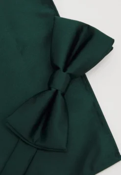 Pier One Set - Pañuelo De Bolsillo - Dark Green -Pier One 4d0bb2494c754589bb4fbf5c32c6c2db scaled